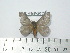  ( - BC-FMP-2052)  @13 [ ] Copyright (2010) Unspecified Research Collection of Frank Meister