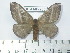  ( - BC-FMP-2053)  @13 [ ] Copyright (2010) Unspecified Research Collection of Frank Meister