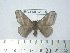  ( - BC-FMP-2054)  @11 [ ] Copyright (2010) Unspecified Research Collection of Frank Meister