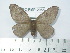  ( - BC-FMP-2055)  @13 [ ] Copyright (2010) Unspecified Research Collection of Frank Meister