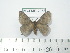  ( - BC-FMP-2058)  @12 [ ] Copyright (2010) Unspecified Research Collection of Frank Meister