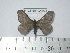  ( - BC-FMP-2059)  @14 [ ] Copyright (2010) Unspecified Research Collection of Frank Meister