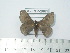  ( - BC-FMP-2061)  @14 [ ] Copyright (2010) Unspecified Research Collection of Frank Meister
