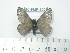  ( - BC-FMP-2063)  @13 [ ] Copyright (2010) Unspecified Research Collection of Frank Meister