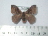  ( - BC-FMP-2068)  @12 [ ] Copyright (2010) Unspecified Research Collection of Frank Meister