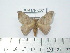  ( - BC-FMP-2071)  @12 [ ] Copyright (2010) Unspecified Research Collection of Frank Meister