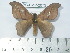  ( - BC-FMP-2073)  @13 [ ] Copyright (2010) Unspecified Research Collection of Frank Meister