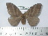  ( - BC-FMP-2074)  @13 [ ] Copyright (2010) Unspecified Research Collection of Frank Meister
