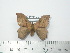  ( - BC-FMP-2077)  @13 [ ] Copyright (2010) Unspecified Research Collection of Frank Meister