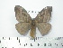  ( - BC-FMP-2078)  @13 [ ] Copyright (2010) Unspecified Research Collection of Frank Meister