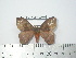  ( - BC-FMP-2079)  @13 [ ] Copyright (2010) Unspecified Research Collection of Frank Meister