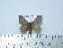  ( - BC-FMP-2081)  @12 [ ] Copyright (2010) Unspecified Research Collection of Frank Meister