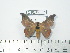  ( - BC-FMP-2085)  @13 [ ] Copyright (2010) Unspecified Research Collection of Frank Meister