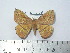  ( - BC-FMP-2103)  @14 [ ] Copyright (2010) Unspecified Research Collection of Frank Meister