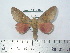  ( - BC-FMP-2151)  @14 [ ] Copyright (2010) Unspecified Research Collection of Frank Meister