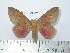  ( - BC-FMP-2152)  @14 [ ] Copyright (2010) Unspecified Research Collection of Frank Meister