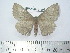  ( - BC-FMP-2169)  @13 [ ] Copyright (2010) Unspecified Research Collection of Frank Meister