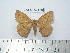  ( - BC-FMP-2170)  @13 [ ] Copyright (2010) Unspecified Research Collection of Frank Meister