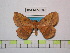  ( - BC-FMP-0807)  @14 [ ] Copyright (2010) Unspecified Research Collection of Frank Meister