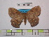  ( - BC-FMP-0811)  @14 [ ] Copyright (2010) Unspecified Research Collection of Frank Meister