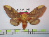  ( - BC-FMP-1006)  @13 [ ] Copyright (2010) Unspecified Research Collection of Frank Meister