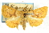  ( - CNCLEP00088829)  @11 [ ] CreativeCommons - Attribution Non-Commercial Share-Alike (2011) Jean-Francois Landry, CNC and Zhaofu Yang, BIO Canadian National Collections