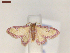  ( - CLV7369)  @11 [ ] CreativeCommons  Attribution Non-Commercial Share-Alike (2019) Carlos Lopez Vaamonde Institut National de la Recherche Agronomique, Zoologie Forestiere