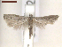 ( - CLV7422)  @11 [ ] CreativeCommons  Attribution Non-Commercial Share-Alike (2019) Carlos Lopez Vaamonde Institut National de la Recherche Agronomique, Zoologie Forestiere