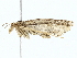  ( - BIOUG73637-B04)  @11 [ ] CreativeCommons - Attribution (2022) CBG Photography Group Centre for Biodiversity Genomics