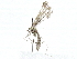  ( - BIOUG80120-C07)  @11 [ ] CreativeCommons - Attribution (2022) CBG Photography Group Centre for Biodiversity Genomics