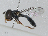  ( - CBG-A00364-F12)  @11 [ ] CreativeCommons - Attribution (2023) CBG Photography Group Centre for Biodiversity Genomics