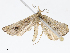  ( - CBG-A05389-E07)  @11 [ ] CreativeCommons - Attribution (2023) CBG Photography Group Centre for Biodiversity Genomics