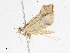  ( - CBG-A05417-F04)  @11 [ ] CreativeCommons - Attribution (2023) CBG Photography Group Centre for Biodiversity Genomics