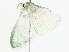  ( - BIOUG73637-A02)  @11 [ ] CreativeCommons - Attribution (2022) CBG Photography Group Centre for Biodiversity Genomics
