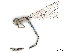  ( - BIOUG73637-H06)  @11 [ ] CreativeCommons - Attribution (2022) CBG Photography Group Centre for Biodiversity Genomics