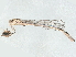  ( - BIOUG99479-G01)  @11 [ ] CreativeCommons - Attribution Non-Commercial Share-Alike (2023) CBG Photography Group Centre for Biodiversity Genomics