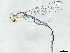  ( - BIOUG99479-G04)  @11 [ ] CreativeCommons - Attribution Non-Commercial Share-Alike (2023) CBG Photography Group Centre for Biodiversity Genomics