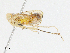  ( - CBG-A02880-E02)  @11 [ ] CreativeCommons - Attribution (2023) CBG Photography Group Centre for Biodiversity Genomics
