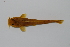  ( - RB14-A018)  @12 [ ] CreativeCommons - Attribution Non-Commercial Share-Alike (2014) SAIAB SAIAB