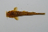  ( - RB14-A021)  @13 [ ] CreativeCommons - Attribution Non-Commercial Share-Alike (2014) SAIAB SAIAB