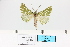  ( - HSS18006)  @11 [ ] Unspecified (default): All Rights Reserved  Unspecified Unspecified