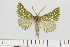  ( - HSS18006)  @11 [ ] Unspecified (default): All Rights Reserved  Unspecified Unspecified