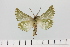  ( - HSS18006)  @11 [ ] Unspecified (default): All Rights Reserved  Unspecified Unspecified