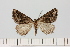  ( - HSS18008)  @11 [ ] Unspecified (default): All Rights Reserved  Unspecified Unspecified