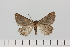  ( - HSS18008)  @11 [ ] Unspecified (default): All Rights Reserved  Unspecified Unspecified