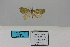  ( - HSS18023)  @11 [ ] Unspecified (default): All Rights Reserved  Unspecified Unspecified
