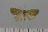  ( - HSS18023)  @11 [ ] Unspecified (default): All Rights Reserved  Unspecified Unspecified