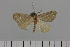  ( - HSS18023)  @11 [ ] Unspecified (default): All Rights Reserved  Unspecified Unspecified