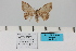  (Isoplenia - HSS18026)  @11 [ ] Unspecified (default): All Rights Reserved  Unspecified Unspecified