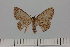  ( - HSS18026)  @11 [ ] Unspecified (default): All Rights Reserved  Unspecified Unspecified